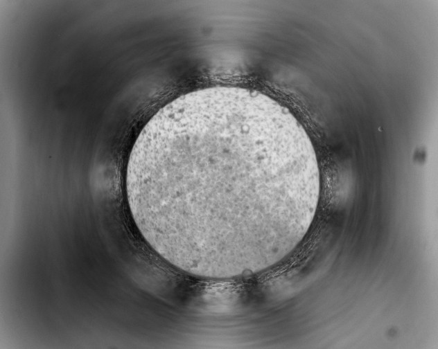 X0000103930705200810101353