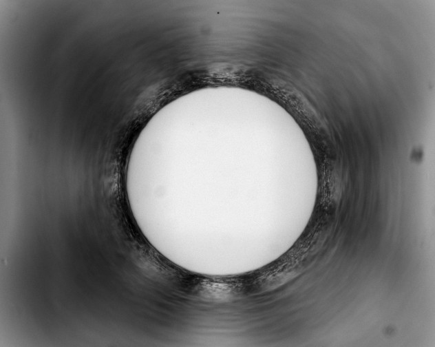 X0000103930706200810101353