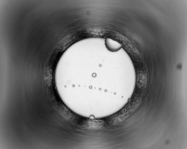 X0000103930707200810101353