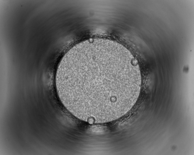 X0000103930708200810101353