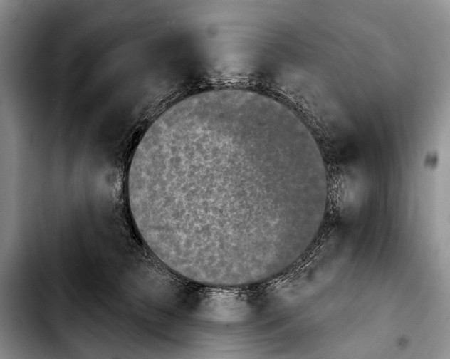 X0000103930709200810101353