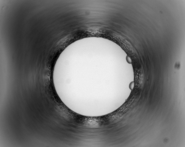 X0000103930710200810101353