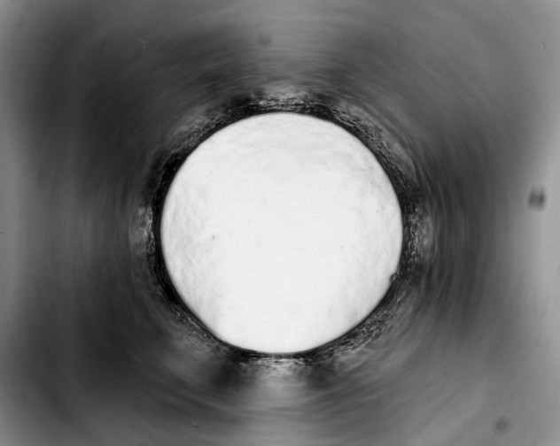 X0000103930711200810101353