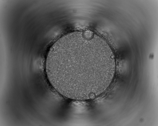 X0000103930712200810101353