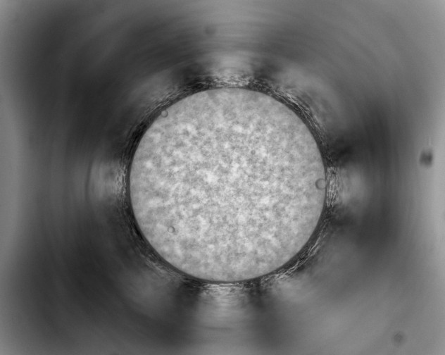 X0000103930713200810101353