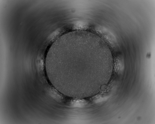 X0000103930716200810101353