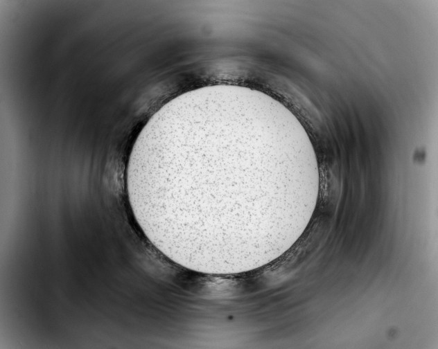 X0000103930718200810101353