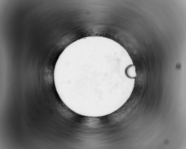 X0000103930719200810101353