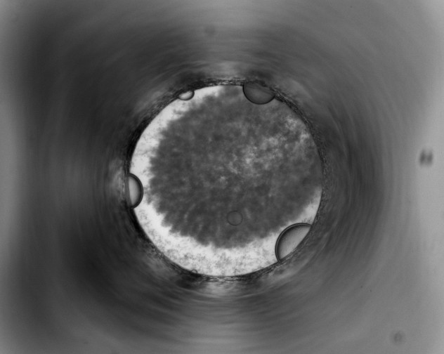 X0000103930720200810101353