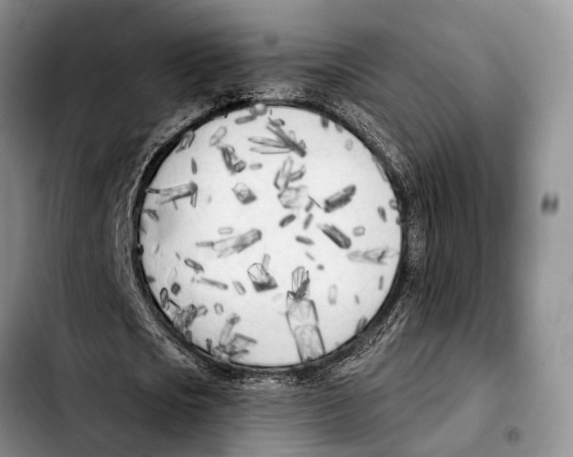 X0000103930721200810101352