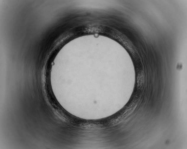 X0000103930722200810101352