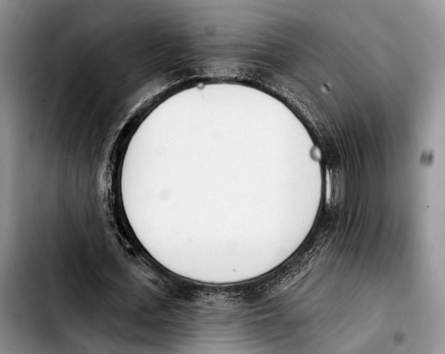 X0000103930723200810101353