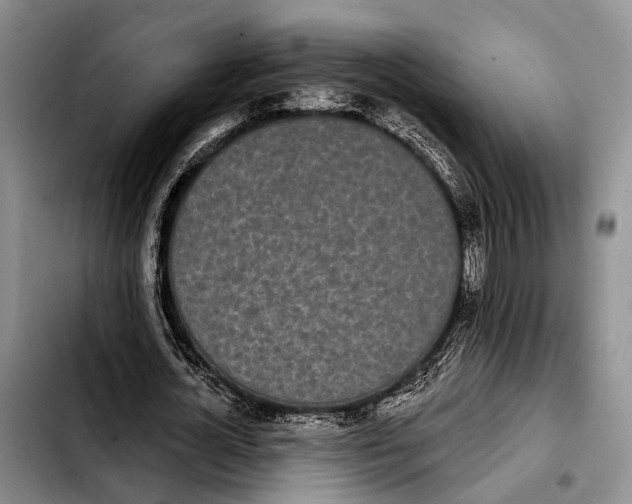 X0000103930724200810101353