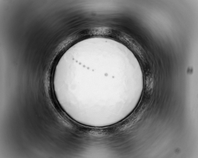 X0000103930725200810101353