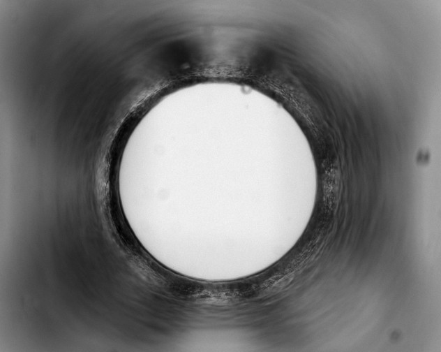 X0000103930727200810101353