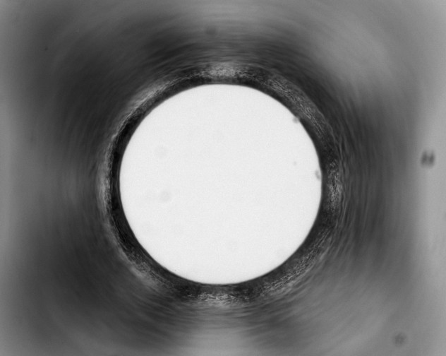 X0000103930728200810101353