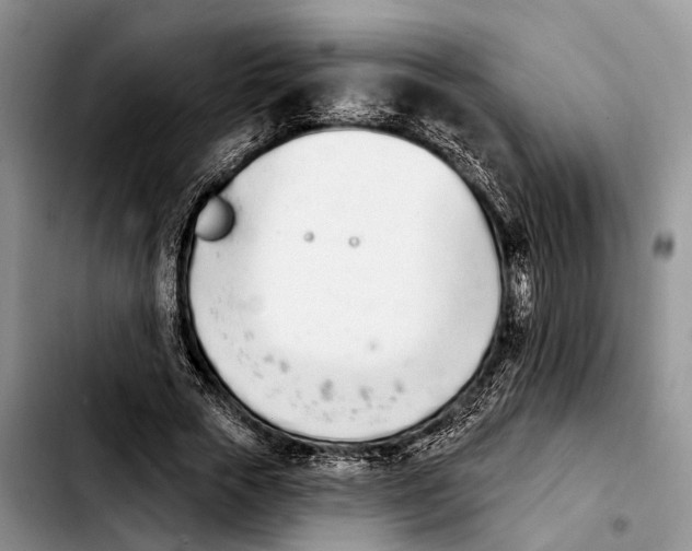 X0000103930729200810101353