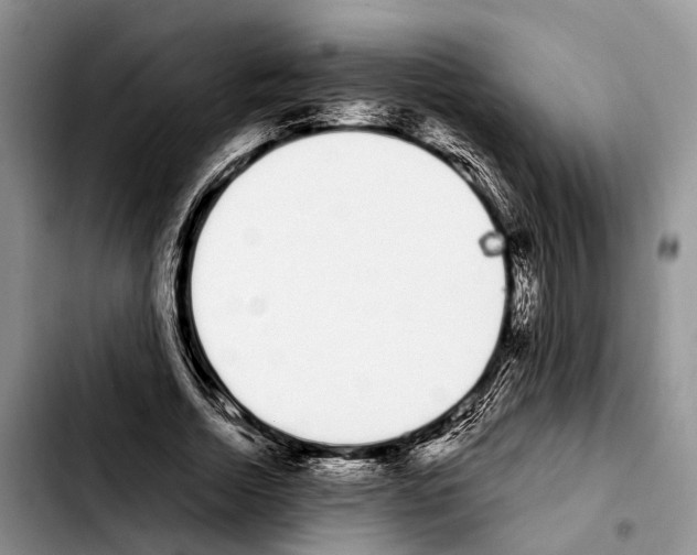 X0000103930730200810101353