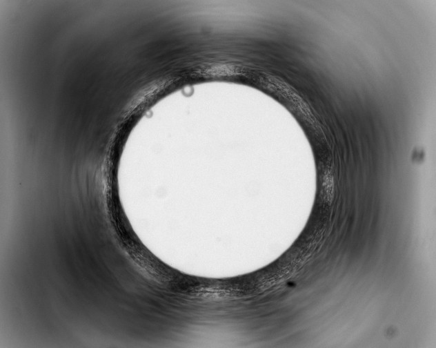 X0000103930732200810101353