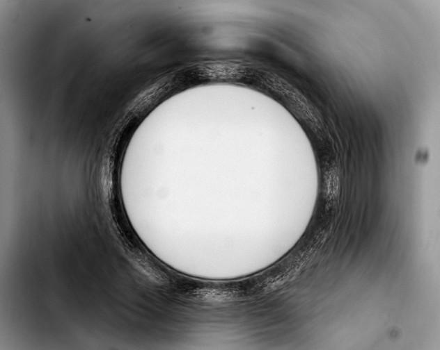 X0000103930733200810101353