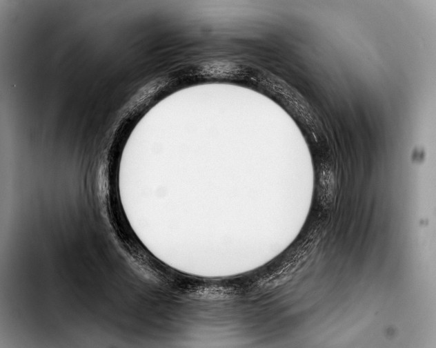 X0000103930734200810101353