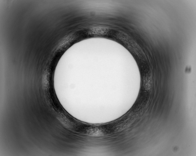 X0000103930735200810101353