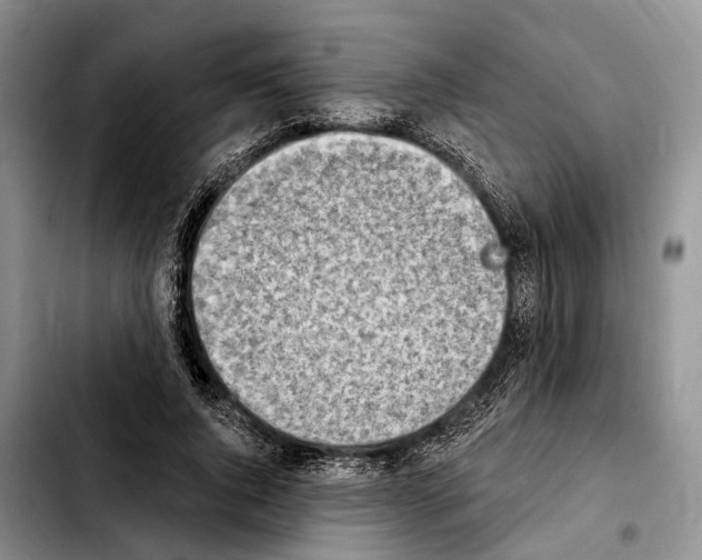 X0000103930736200810101353