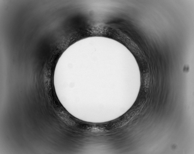 X0000103930737200810101353