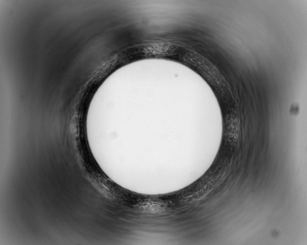 X0000103930738200810101353