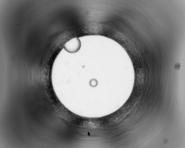 X0000103930739200810101353