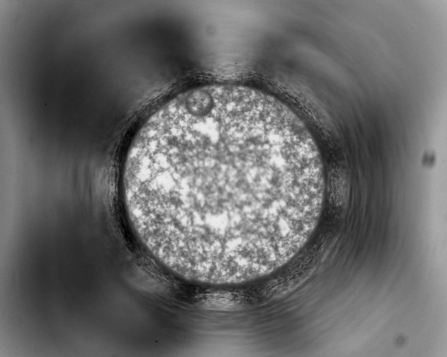 X0000103930740200810101353