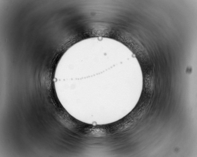 X0000103930741200810101353