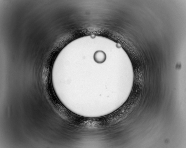 X0000103930742200810101353