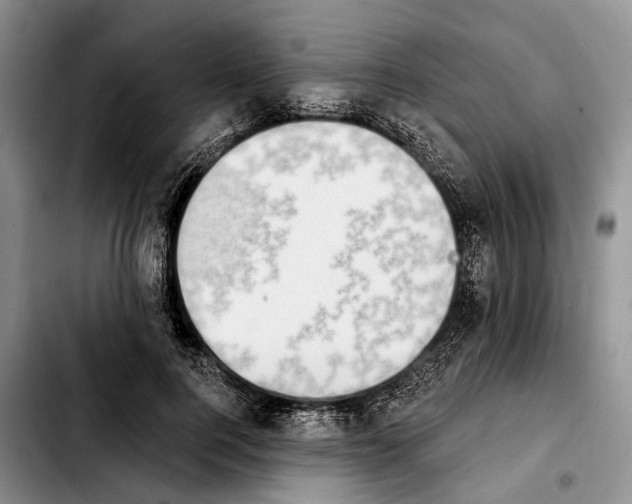 X0000103930744200810101353