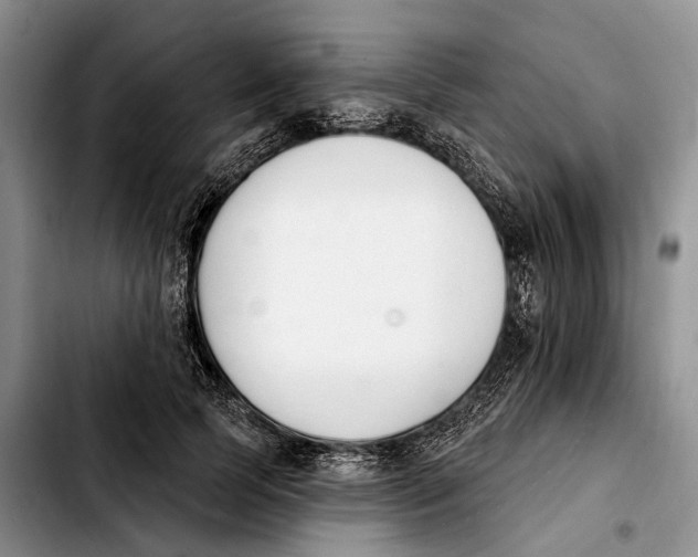 X0000103930745200810101353