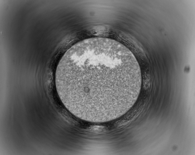 X0000103930748200810101353