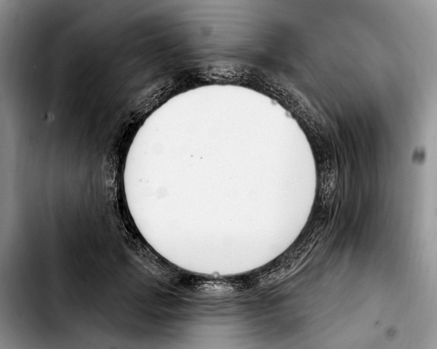 X0000103930749200810101353