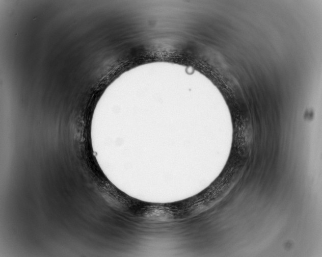 X0000103930750200810101353