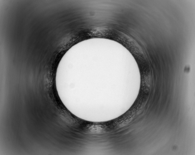 X0000103930751200810101353