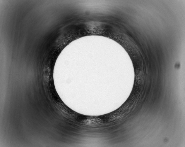 X0000103930752200810101353