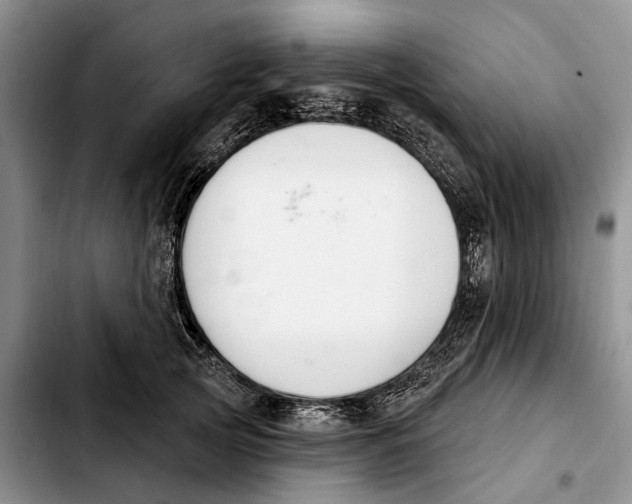 X0000103930753200810101353