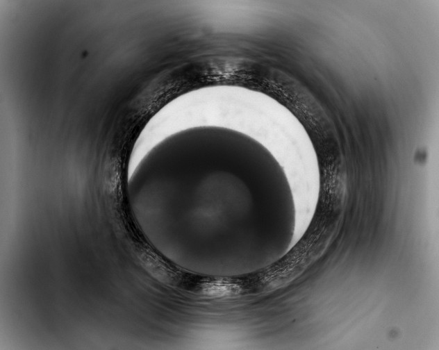 X0000103930754200810101353