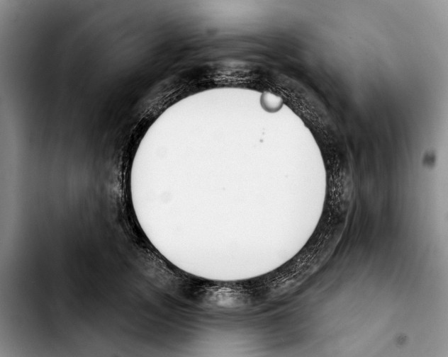 X0000103930755200810101353