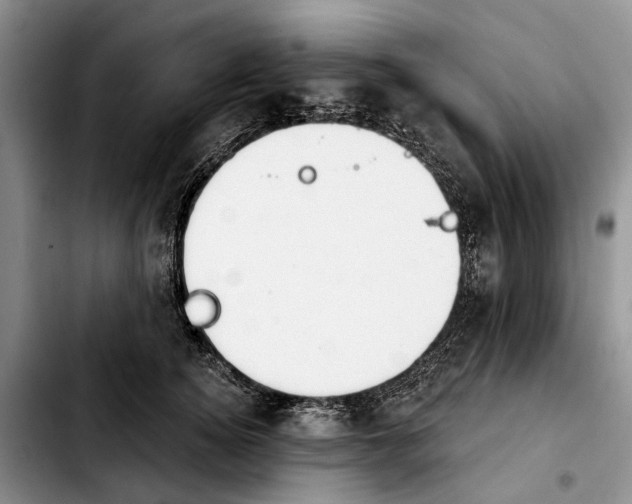 X0000103930756200810101353