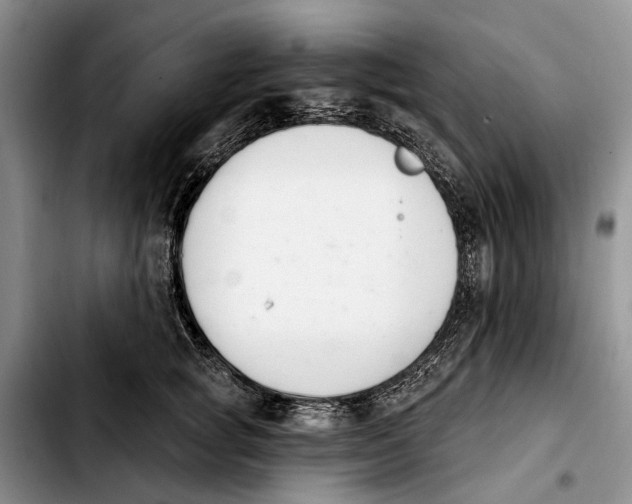 X0000103930757200810101353