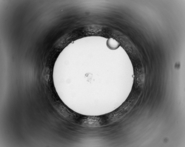 X0000103930758200810101353