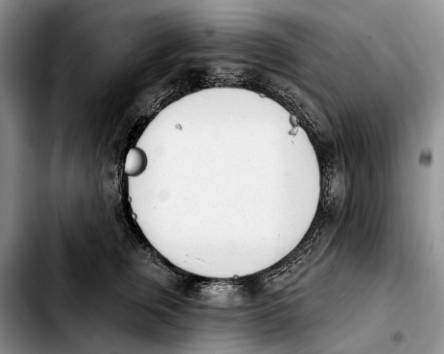 X0000103930759200810101353