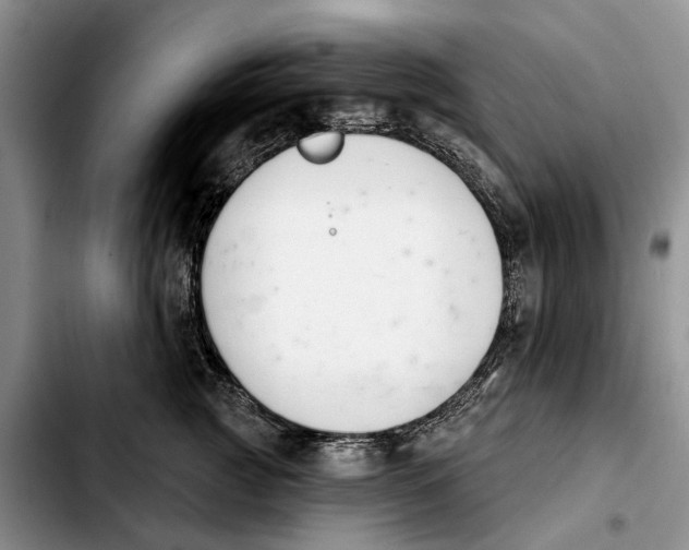 X0000103930761200810101353