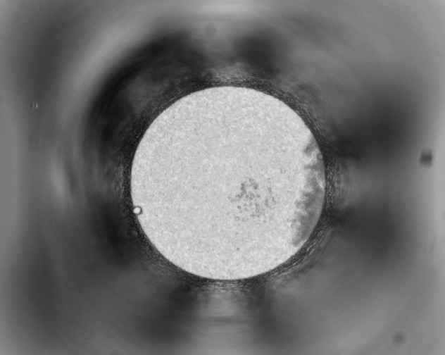 X0000103930762200810101353