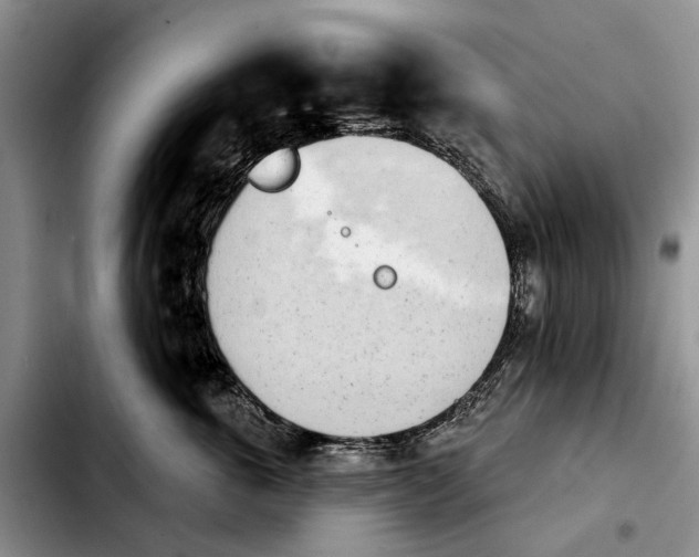 X0000103930763200810101353